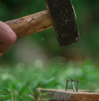 A large hammer is about to hit some nails.